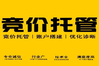 百度SEO推广案例：优化策略与效果对比